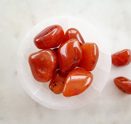 CARNELIAN ♡